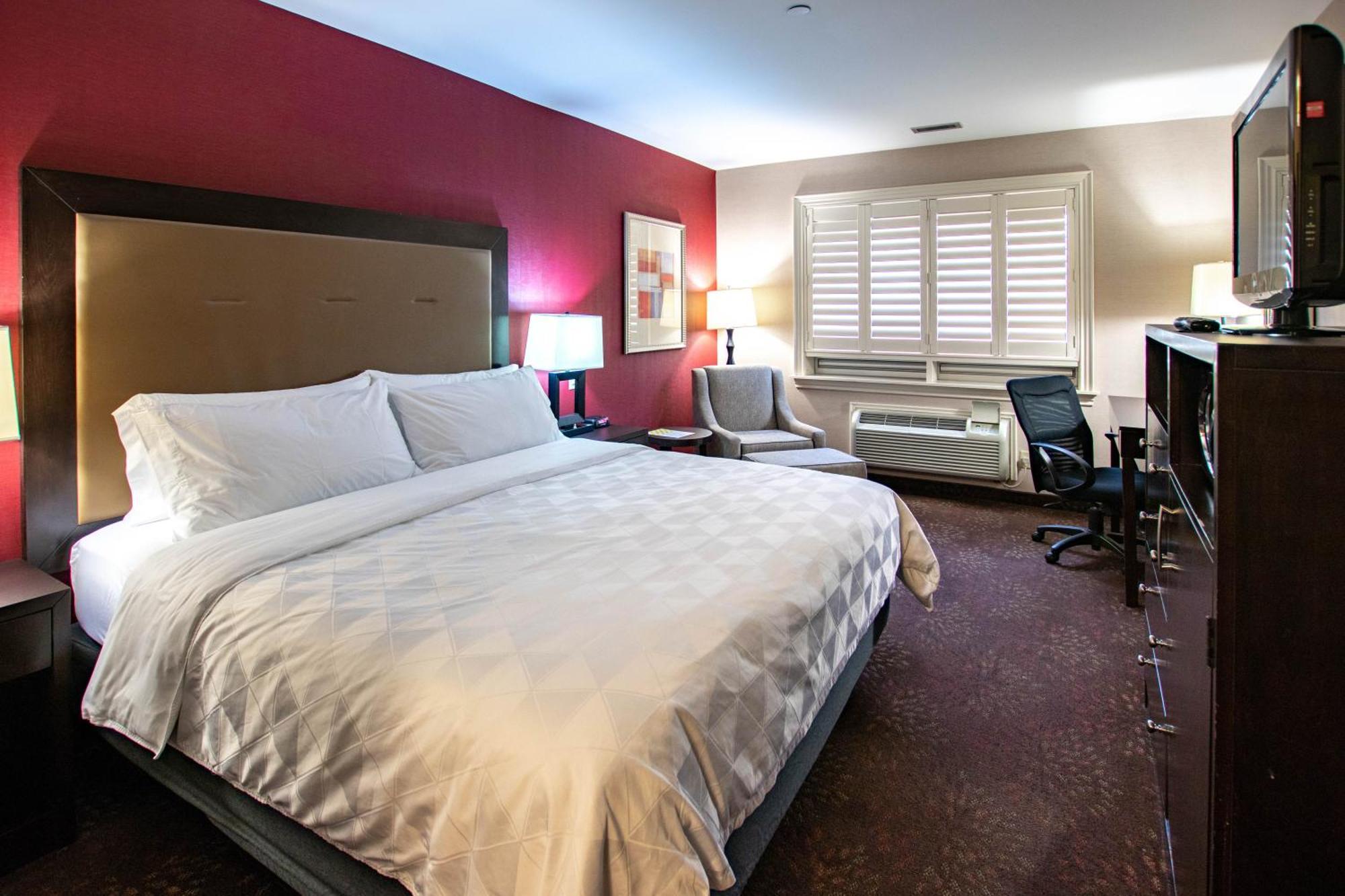 Holiday Inn Hotel & Suites St.Catharines-Niagara By Ihg Saint Catharines Bagian luar foto